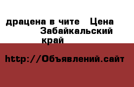 драцена в чите › Цена ­ 1 000 - Забайкальский край  »    